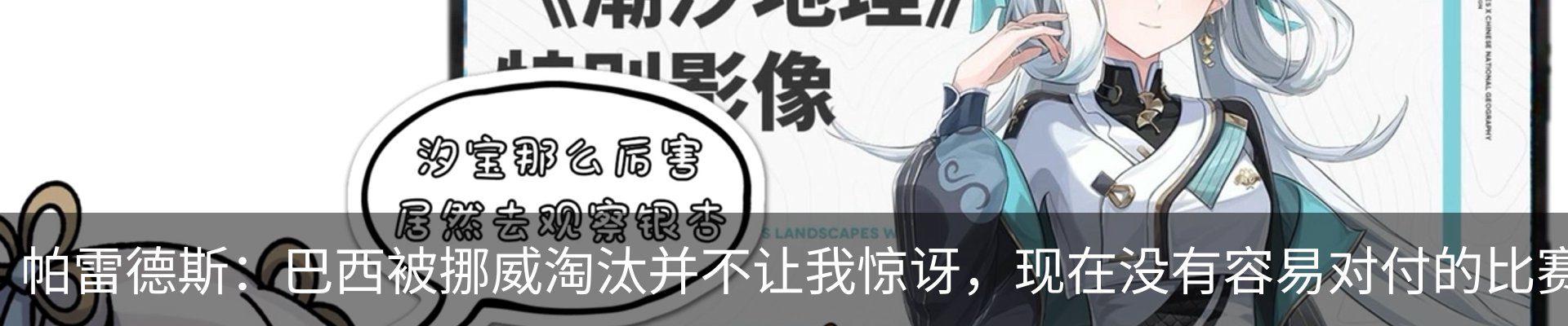 资讯动态