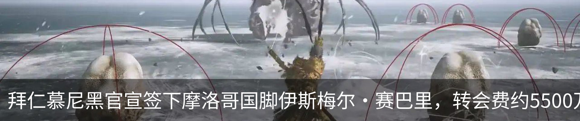 资讯动态