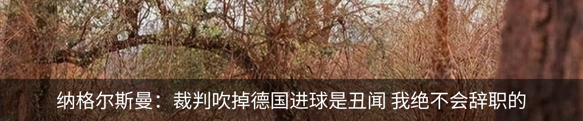 资讯动态